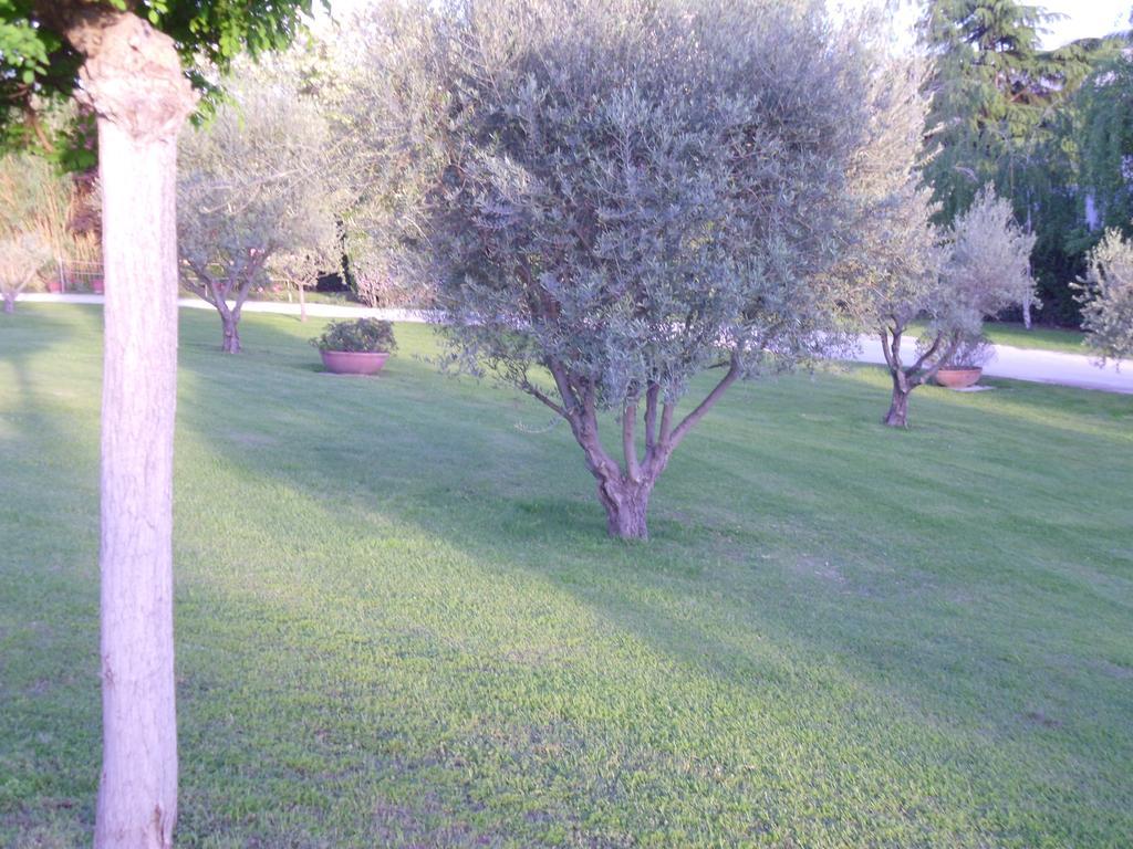 Affittacamere Luxardotel Roma