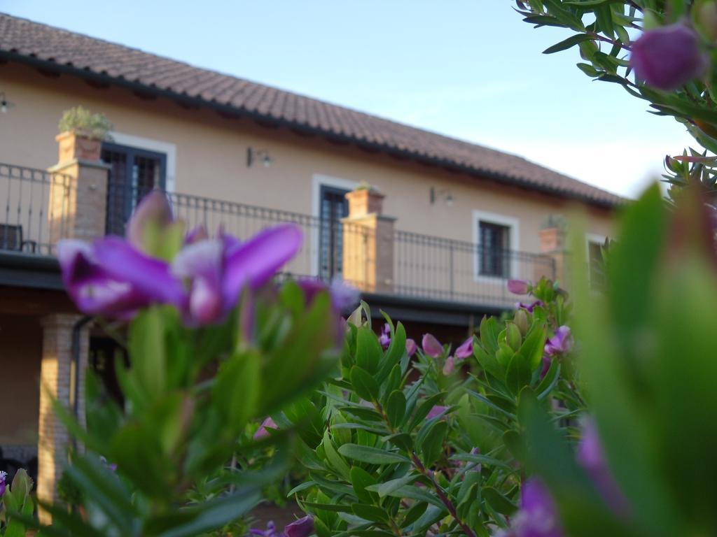 Affittacamere Luxardotel