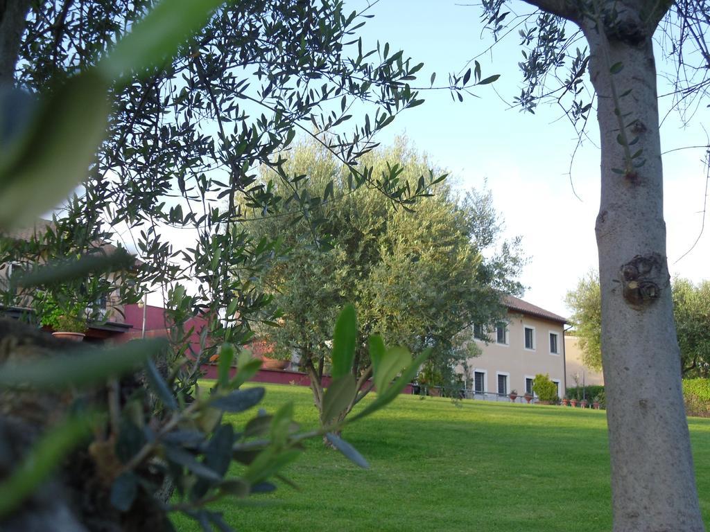 Luxardotel Affittacamere 2*