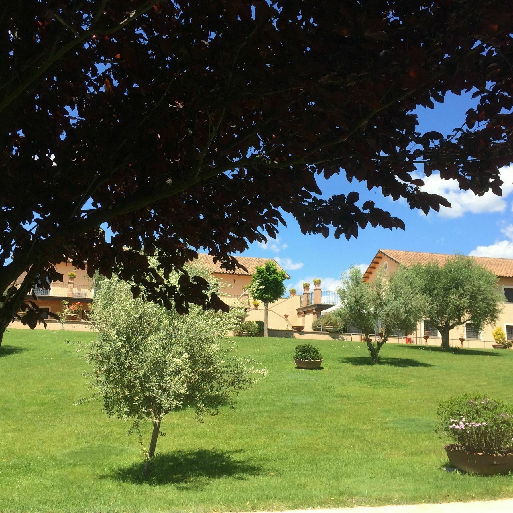 Affittacamere Luxardotel Roma